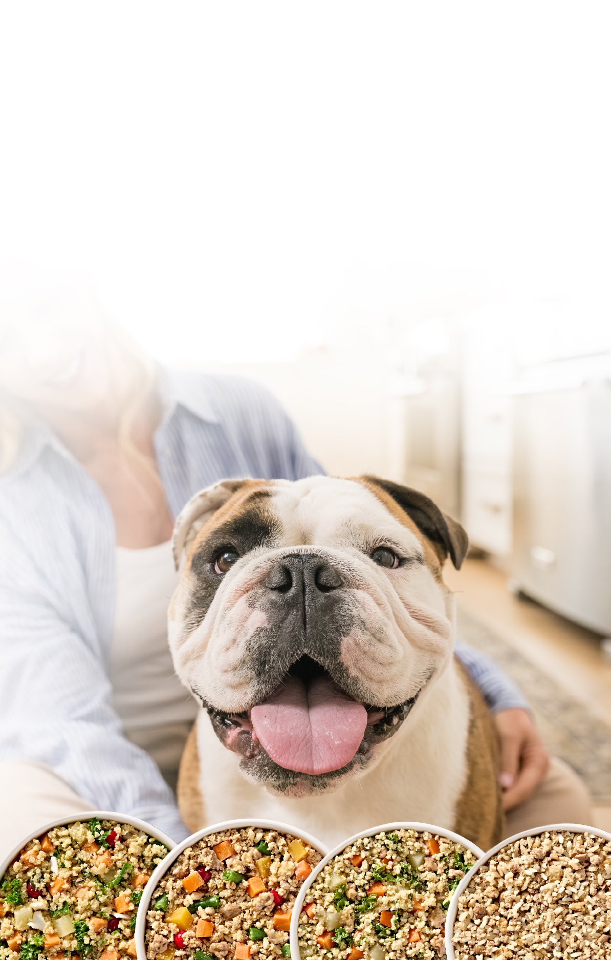 dog with four dog food options